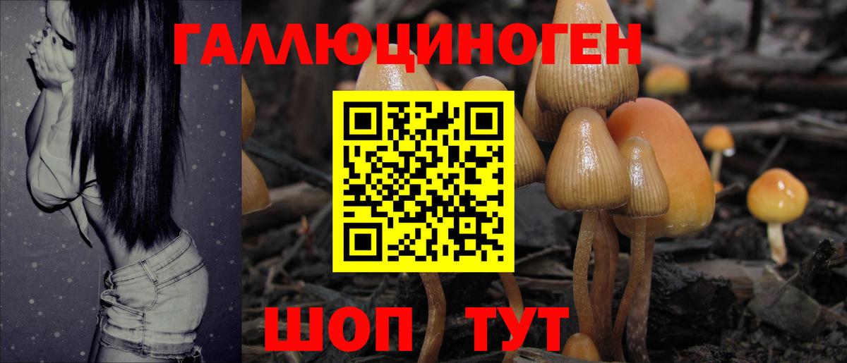 Удомля  наркота  Вход с VPN  Псилоцибиновые грибы мухоморы 